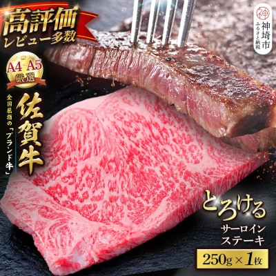 【スピード発送】佐賀牛 サーロインステーキ 250g×1枚(H065235)