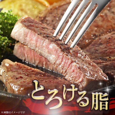 【スピード発送】佐賀牛 サーロインステーキ 250g×1枚(H065235)