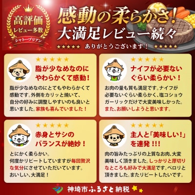 【スピード発送】佐賀牛ヒレシャトーブリアン 200g×10枚 2カ月定期便(H065225)