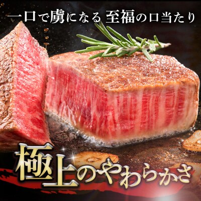 【スピード発送】佐賀牛ヒレシャトーブリアン 200g×10枚 5カ月定期便(H065227)