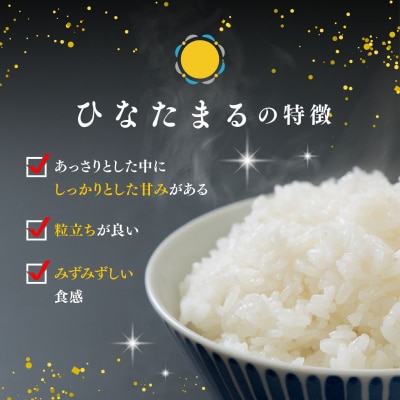 【令和7年産】ひなたまる 精米 4kg(2kg×2袋)(H015230)
