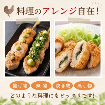 佐賀県ブランド鶏 ありたどり ささみ 2kg×1袋(H122151)