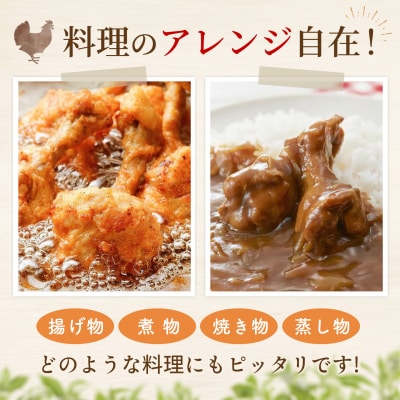 佐賀県ブランド鶏 ありたどり 手羽元 2kg×1袋(H122152)