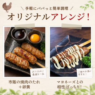 ありたどり つくね棒2種セット(軟骨入り・激辛) 5本入り×各2袋 合計20本(H122156)