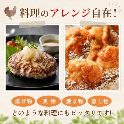 ありたどり 精肉セット(もも・むね・ささみ・手羽元・むねミンチ) 合計1.5kg(H122158)