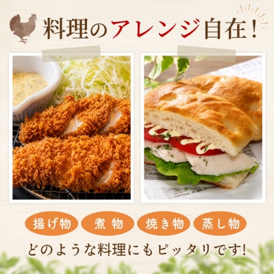 佐賀県ブランド鶏 ありたどり むね肉 2kg×1袋(H122160)