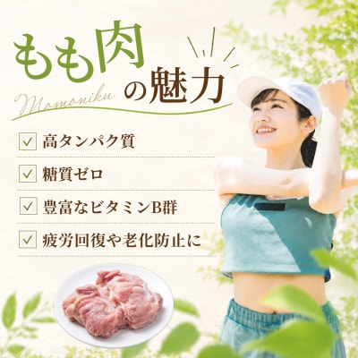 佐賀県ブランド鶏 ありたどり もも肉 1.2kg(300g×4袋)(H122161)