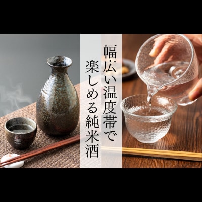 【スピード発送】The SAGA 認定酒  純米酒『光武』720ml×6本(H022124)