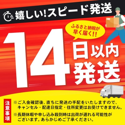 【14日以内発送!】佐賀牛入り ハンバーグ 18個(120g×18個)(H083107)