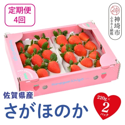【先行受付】【4回定期便】さがほのか220g×2パック(H117103)