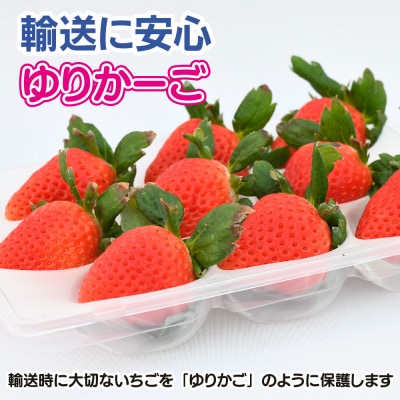 【先行受付】【4回定期便】さがほのか220g×2パック(H117103)