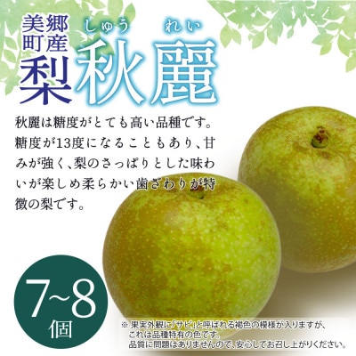 【数量限定】美郷町産 秋麗 7～8個 さいごう梨