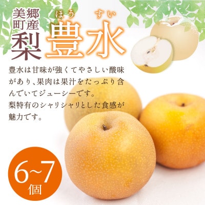 【数量限定】美郷町産 豊水 6～7個 さいごう梨
