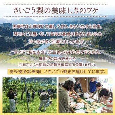 【数量限定】美郷町産 豊水 6～7個 さいごう梨