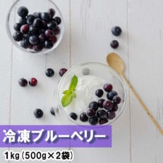 冷凍ブルーベリー 1kg(500g&times;2) 美郷町産