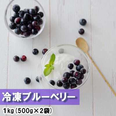 冷凍ブルーベリー 1kg(500g×2) 美郷町産
