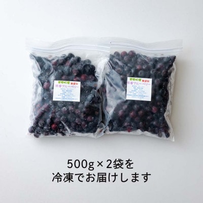 冷凍ブルーベリー 1kg(500g×2) 美郷町産