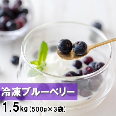 冷凍ブルーベリー 1.5kg(500g×3) 美郷町産