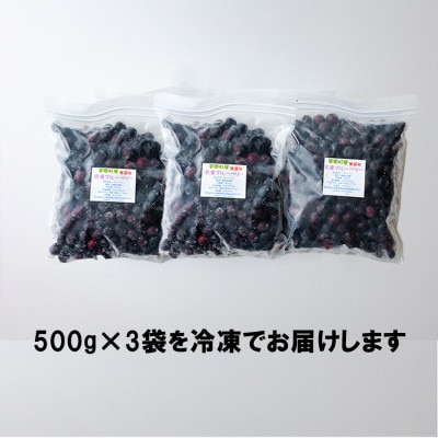 冷凍ブルーベリー 1.5kg(500g×3) 美郷町産