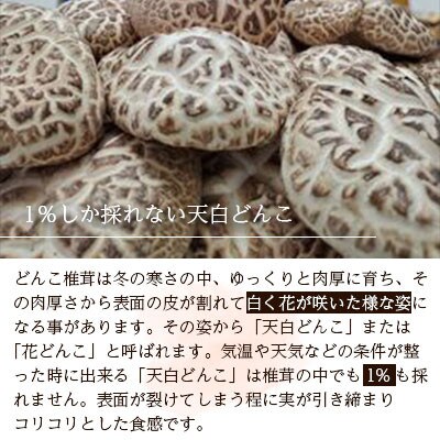 椎茸パテ(1個)・天白どんこセット