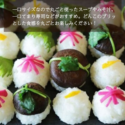 【訳あり】宮崎県産乾椎茸　芽どんこ(チャック袋入り)　150g×3袋　計450g
