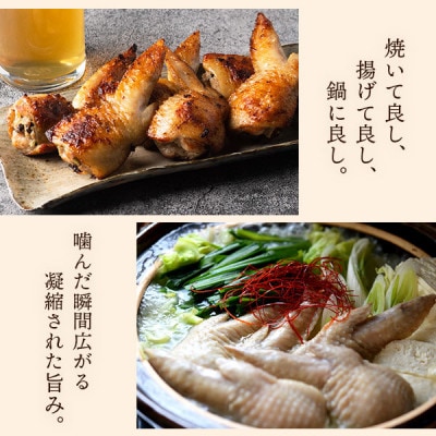 ナバ 手羽餃子 5本