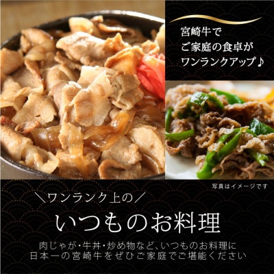 宮崎牛　こま肉　約600g