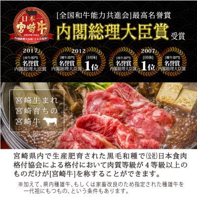 宮崎牛クラシタローススライス約500g