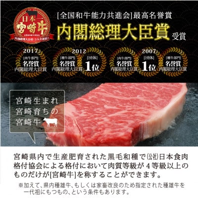 宮崎牛サーロインブロック約500g
