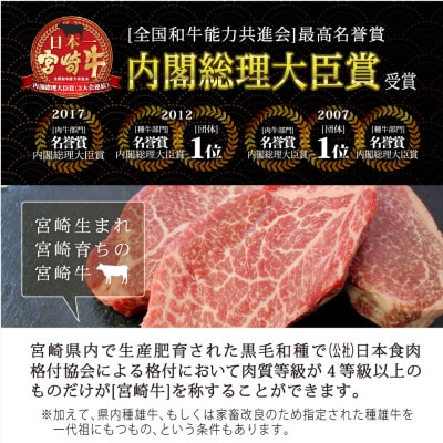 宮崎牛ヒレブロック約1kg