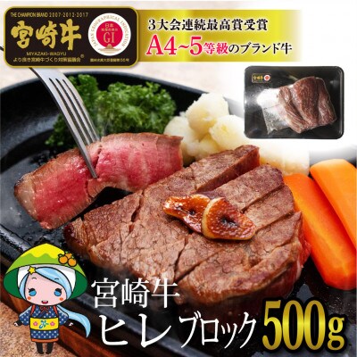 宮崎牛ヒレブロック約500g