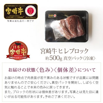 宮崎牛ヒレブロック約500g