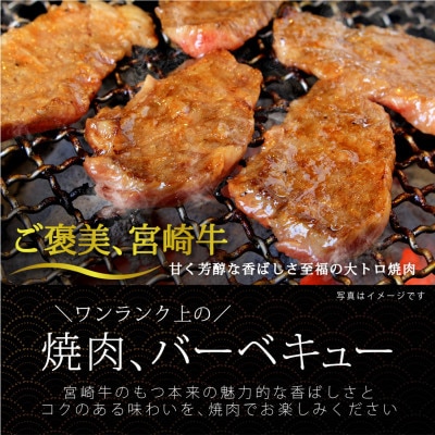 宮崎牛三角バラ焼肉約600g