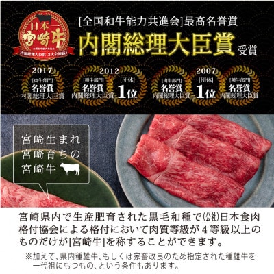 宮崎牛赤身スライス約600g