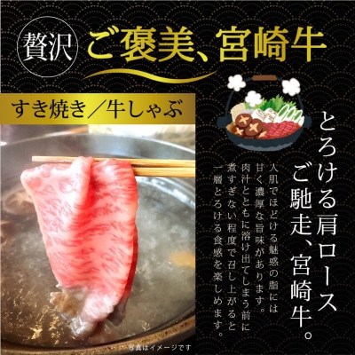 宮崎牛クラシタローススライス約400g