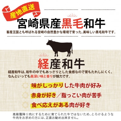 宮崎県産黒毛和牛クラシタローススライス約500g
