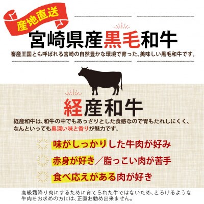 宮崎県産黒毛和牛サーロインブロック約1kg
