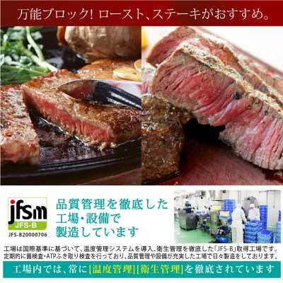 宮崎県産黒毛和牛サーロインブロック約1kg