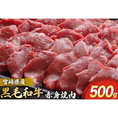 宮崎県産黒毛和牛赤身焼肉約500g