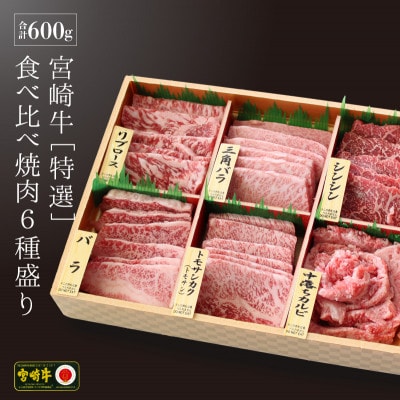 宮崎牛特選食べ比べ焼肉6種盛り