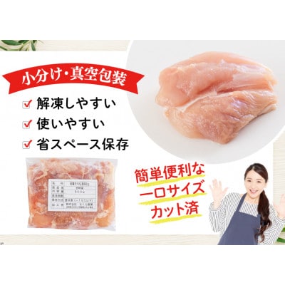 【毎月定期便】宮崎県産若鶏もも肉(小分け&カット済)500g×6P(3kg) 合計18kg全6回