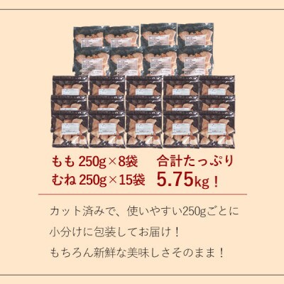宮崎県産若鶏もも切身IQF・むね切身IQF 合計5.75kg
