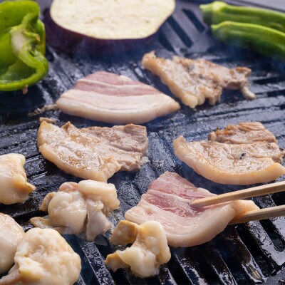宮崎県産焼肉セット 5.48kg