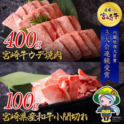 宮崎牛 ウデ焼肉&宮崎県産和牛小間切れ 合計500g(美郷町)