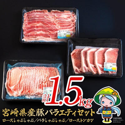 宮崎県産豚ロース・バラのバラエティセット　合計1.5kg(美郷町)