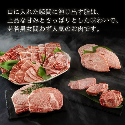 【さとふる限定】【とろける美味しさ】宮崎牛 焼肉・ステーキセット 合計2.9kg(美郷町)