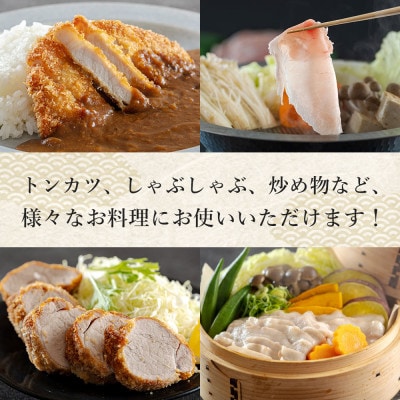 【さとふる限定】【普段使いに】宮崎県産豚 ロース・ヒレ・バラ お料理セット 約2.6kg(美郷町)