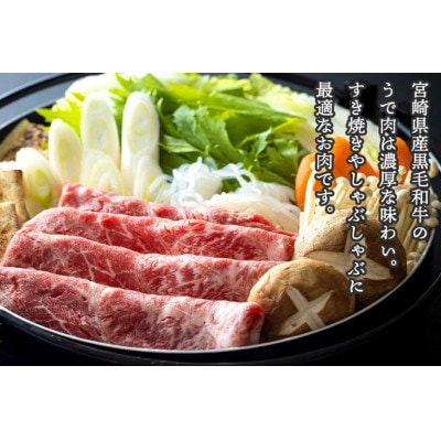 【数量限定】宮崎県産黒毛和牛スライス 1kg(500g×2)(美郷町)