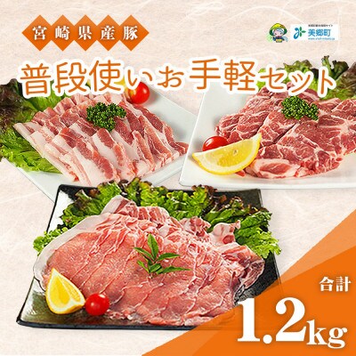 宮崎県産豚　普段使いお手軽セット(美郷町)