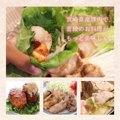 宮崎県産豚　普段使いお手軽セット(美郷町)
